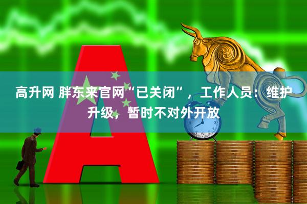高升网 胖东来官网“已关闭”，工作人员：维护升级，暂时不对外开放