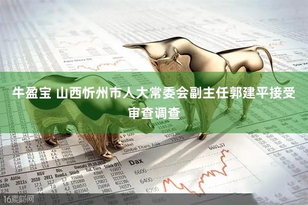 牛盈宝 山西忻州市人大常委会副主任郭建平接受审查调查