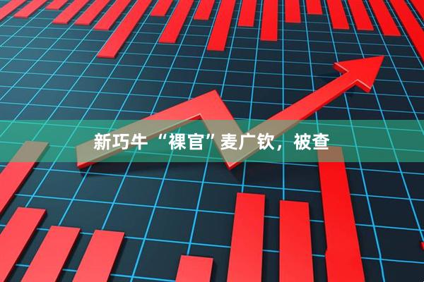 新巧牛 “裸官”麦广钦，被查
