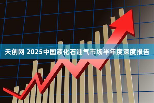 天创网 2025中国液化石油气市场半年度深度报告
