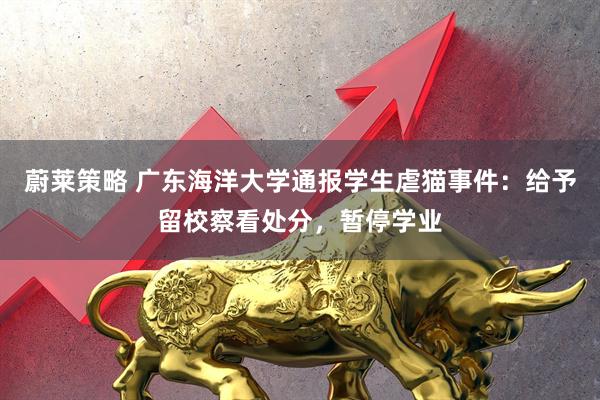 蔚莱策略 广东海洋大学通报学生虐猫事件：给予留校察看处分，暂停学业