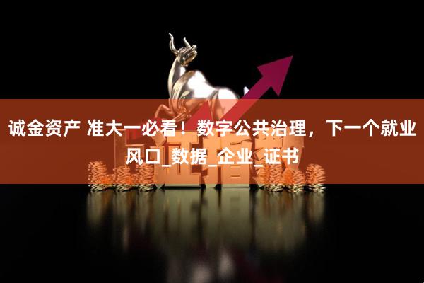 诚金资产 准大一必看！数字公共治理，下一个就业风口_数据_企业_证书