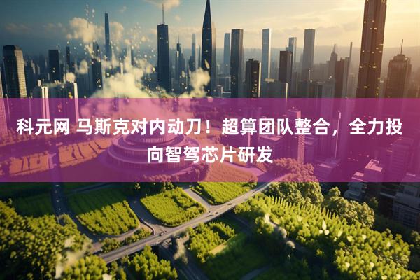 科元网 马斯克对内动刀！超算团队整合，全力投向智驾芯片研发